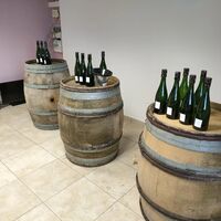 Dégustation des vins clairs 2021 de Boursault 
De très belle choses....❤️❤️❤️